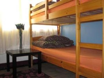 Hostel Backpackers *